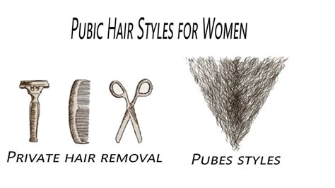 nicely trimmed vaginas|Female Pubic Hair Styles .